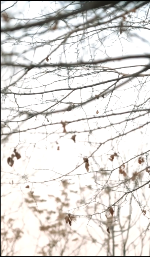 پیش‌نمایش e.mp4